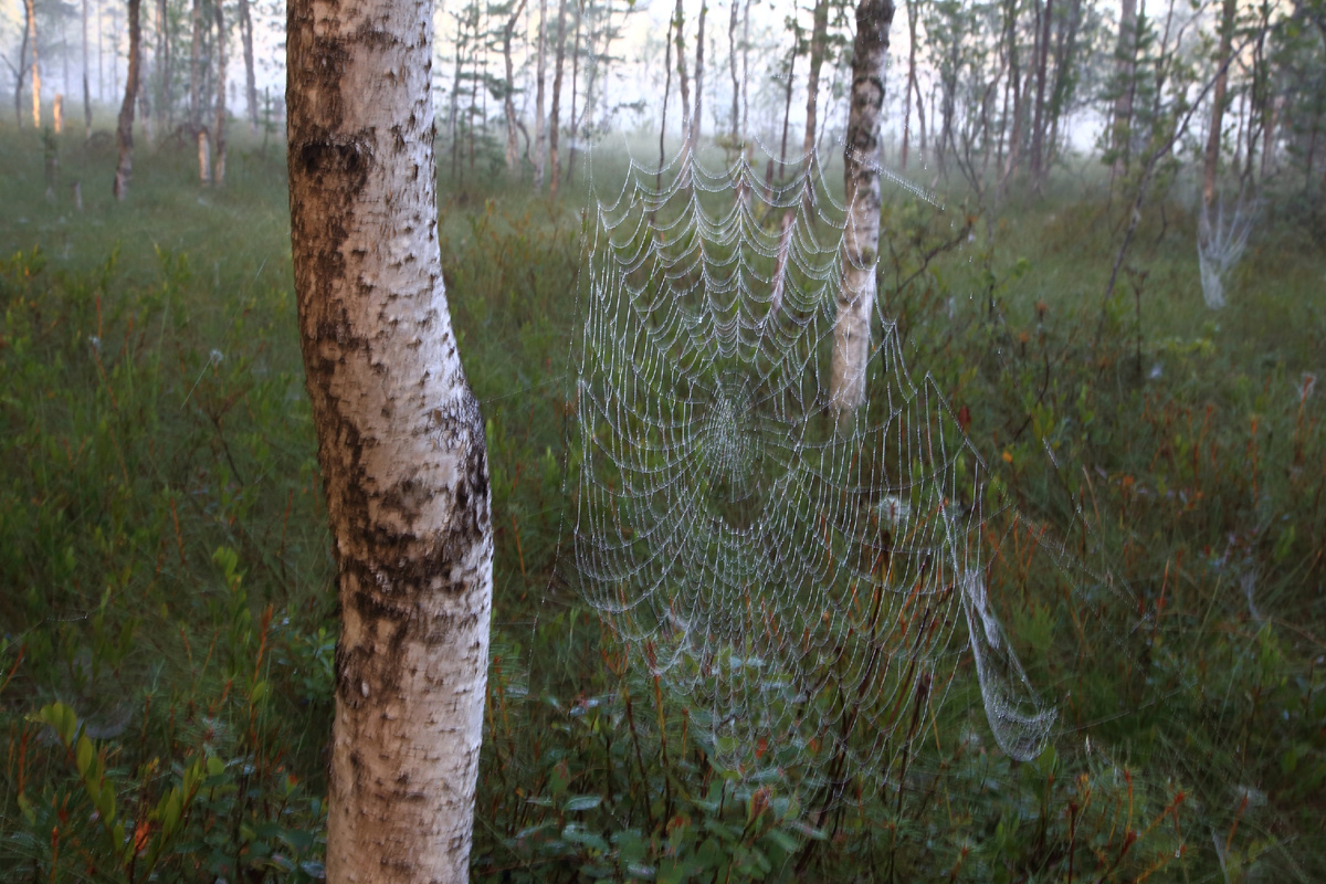 Img_0205  09.08.2025 06:25:13