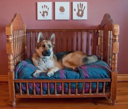 Фото с сайта pinterest