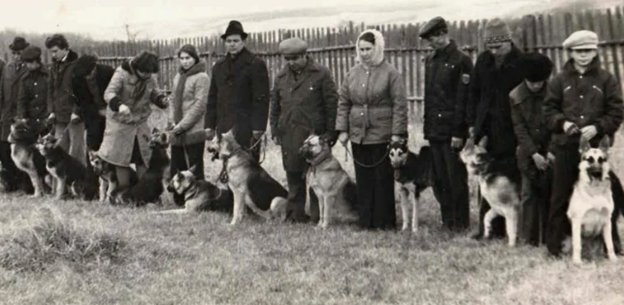 Фото с сайта vestidosaaf.ru