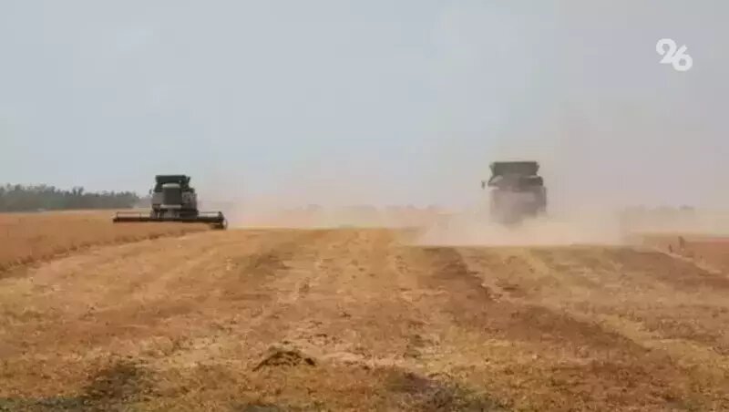      Фото: ИА «Победа26»