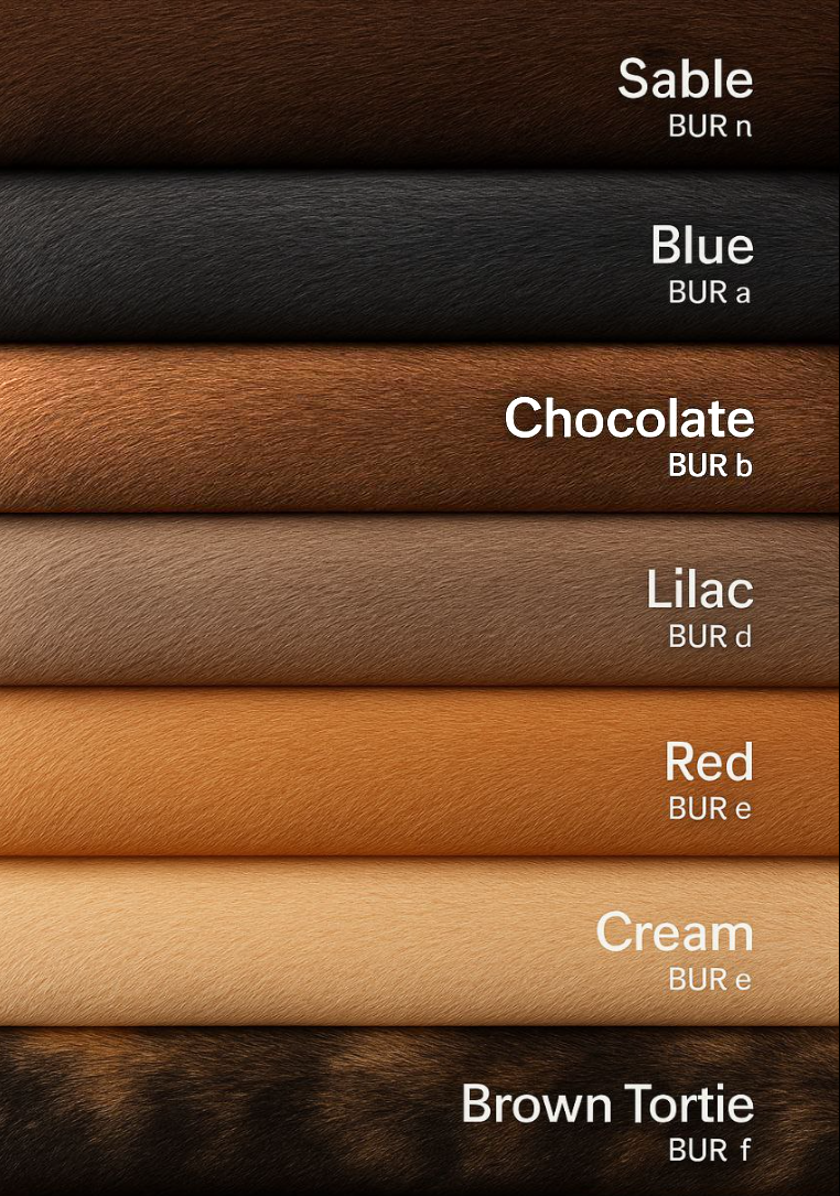 Типы окрасов