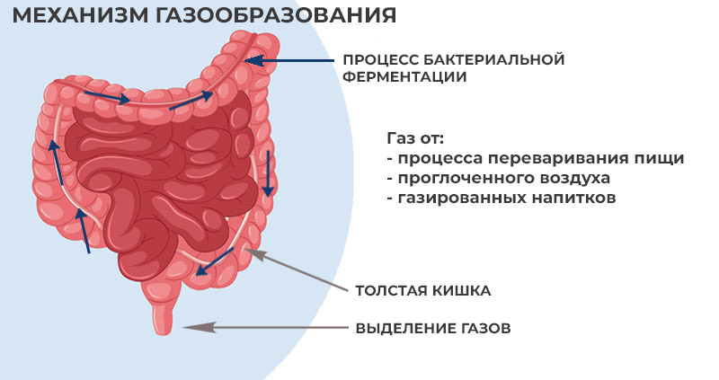 💨 ВЗДУТИЕ, БУРЛИТ, УРЧИТ… Повышенное газообразование: как отличить безобидный метеоризм от опасного заболевания и что делать.