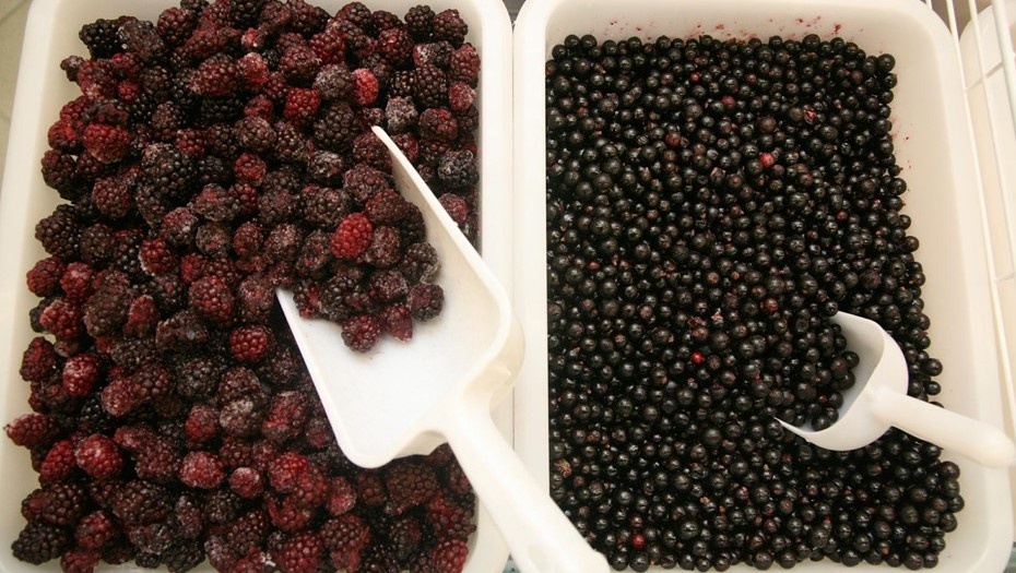    Автор фото: Байгушева Антонина