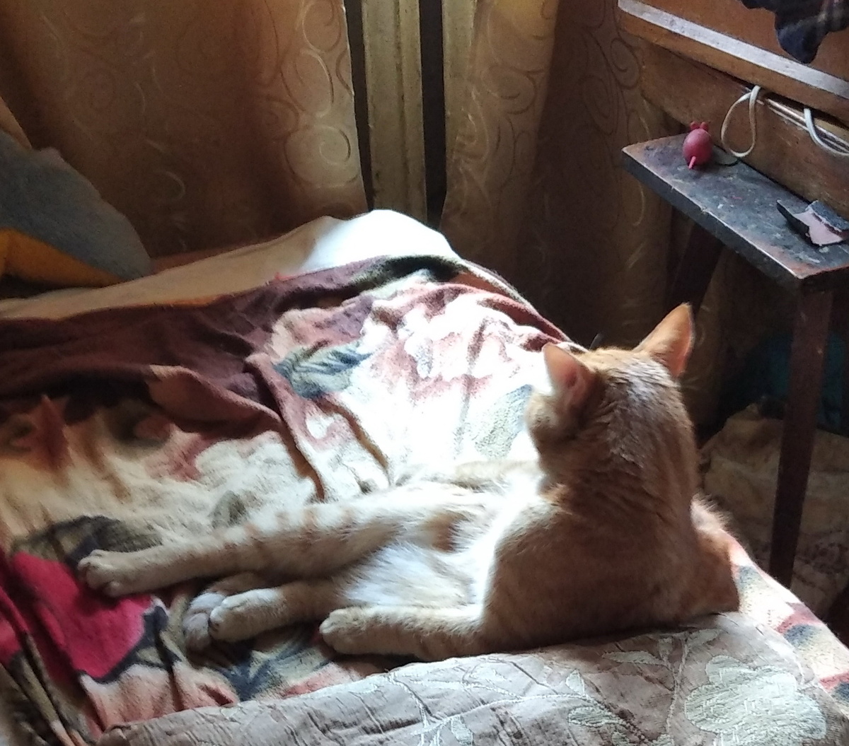 личное фото