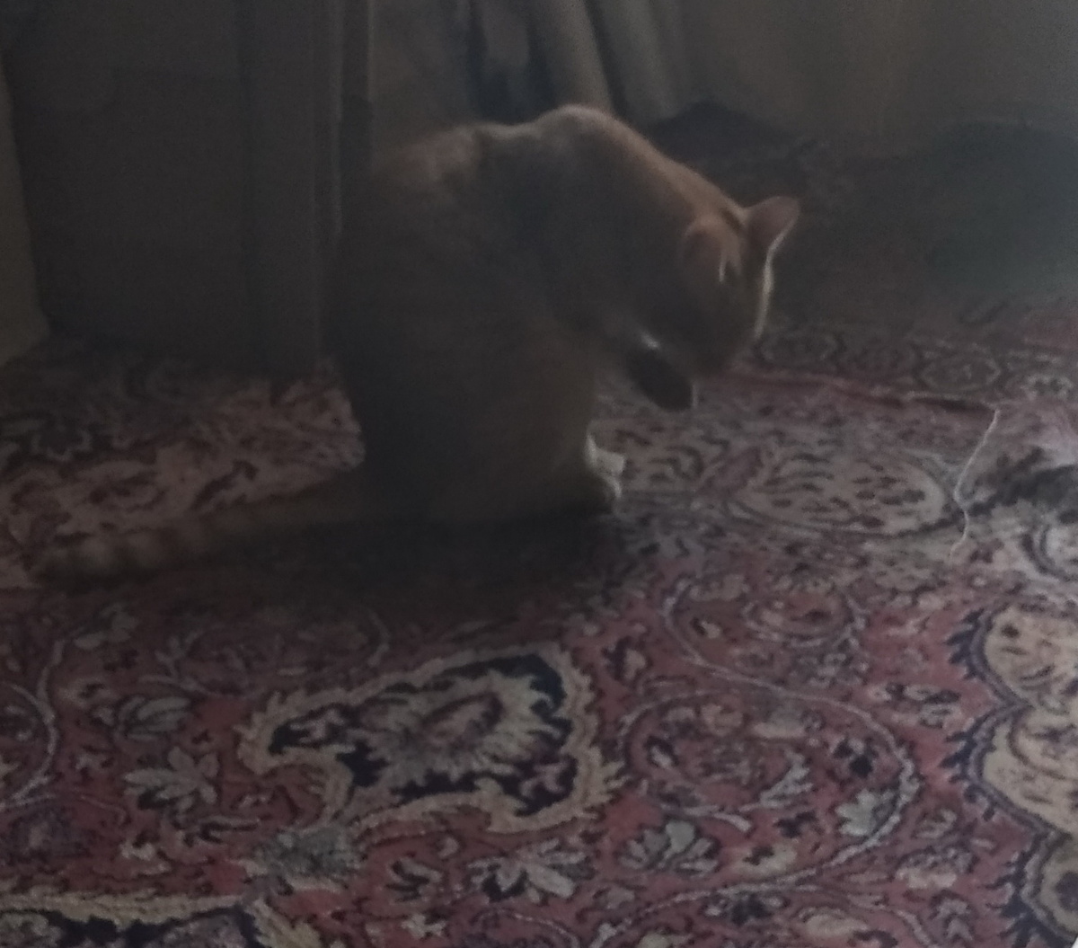 личное фото