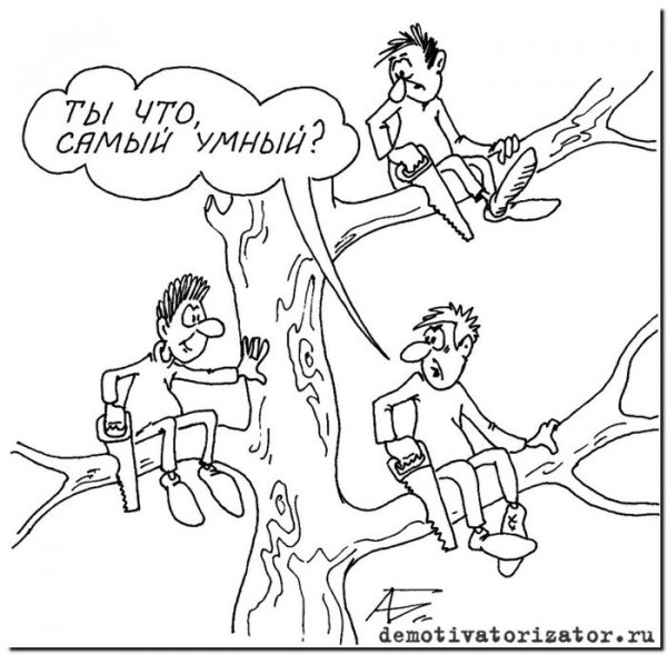 картинка из интернета