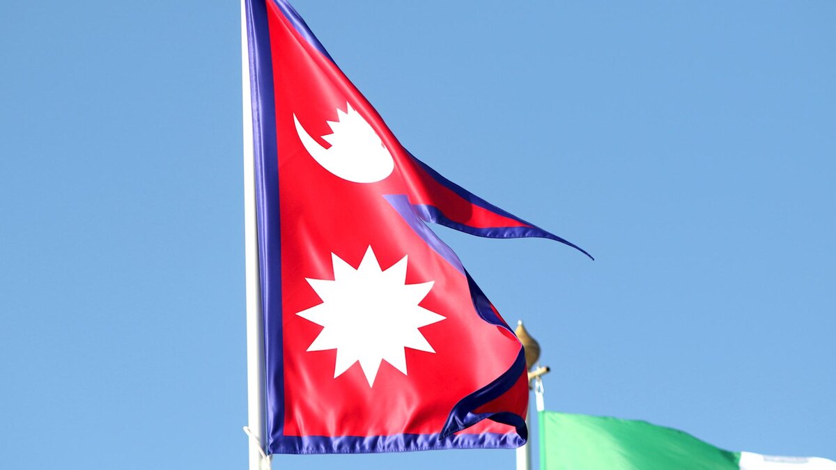    Фото: Maksim Konstantinov/globallookpress.com