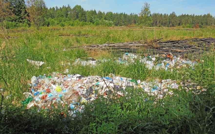    Фото: 32.fsvps.gov.ru Светлана Парфёнова