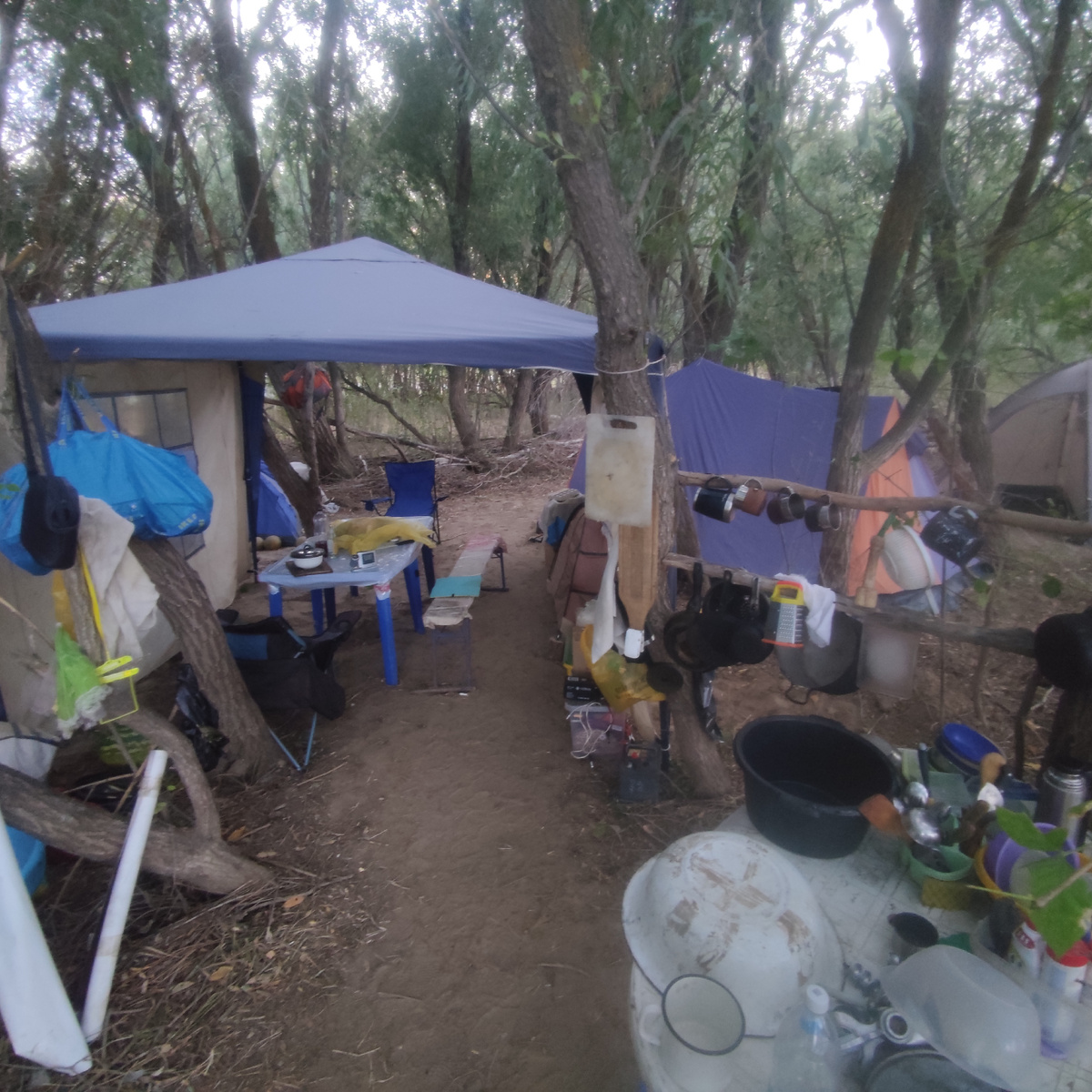 Столовая зона и кухня