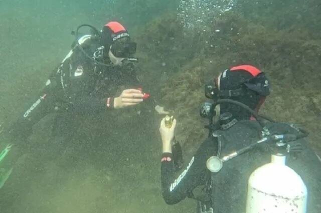    Фото: социальные сети