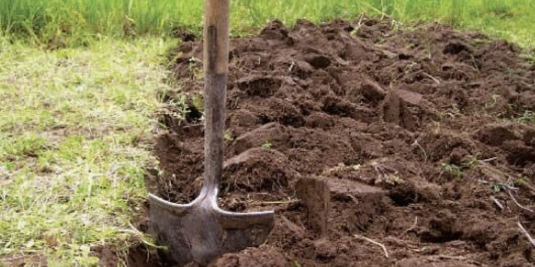 Нужно ли копать грядки осенью? Опыт органического огорода