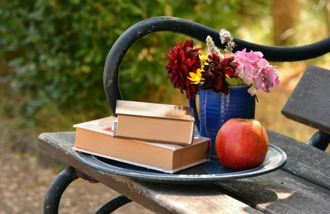 картинка из интернета