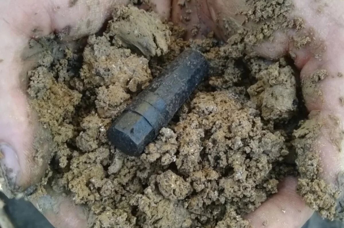    Под Тулой обнаружили останки красноармейца из Цильнинского района