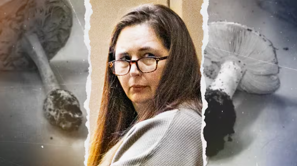 Фотоколлаж: 1news.co.nz