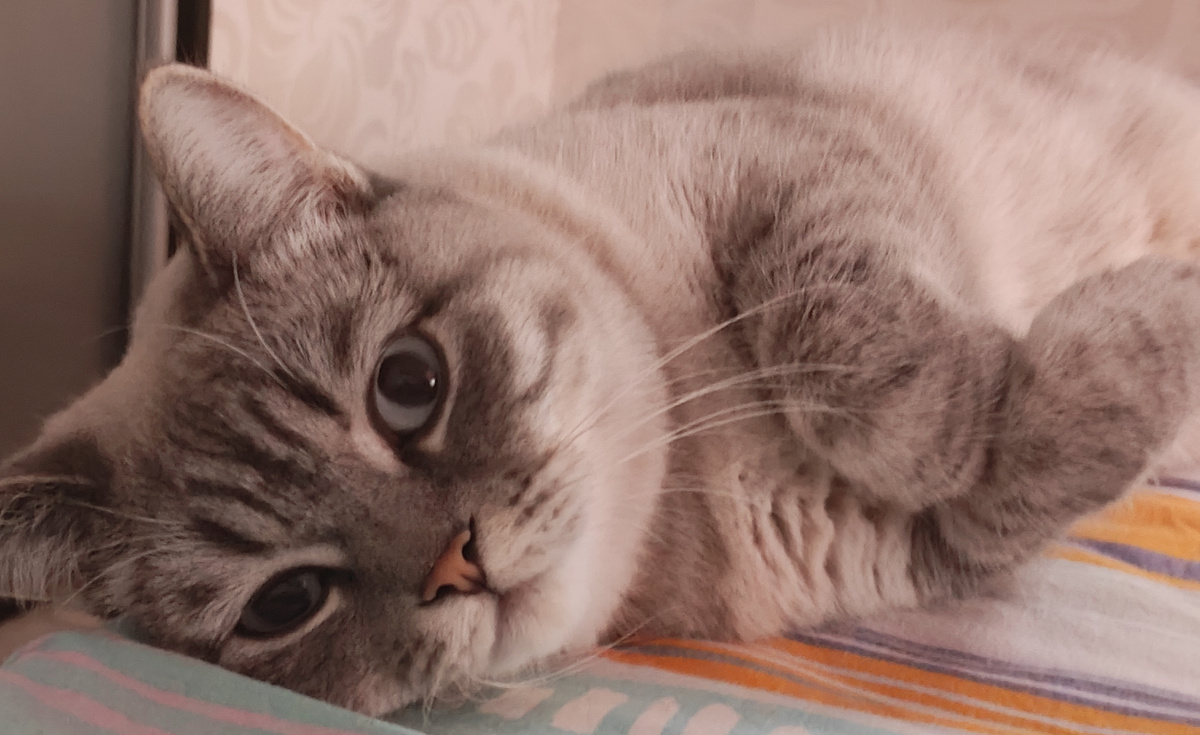 Фото автора 