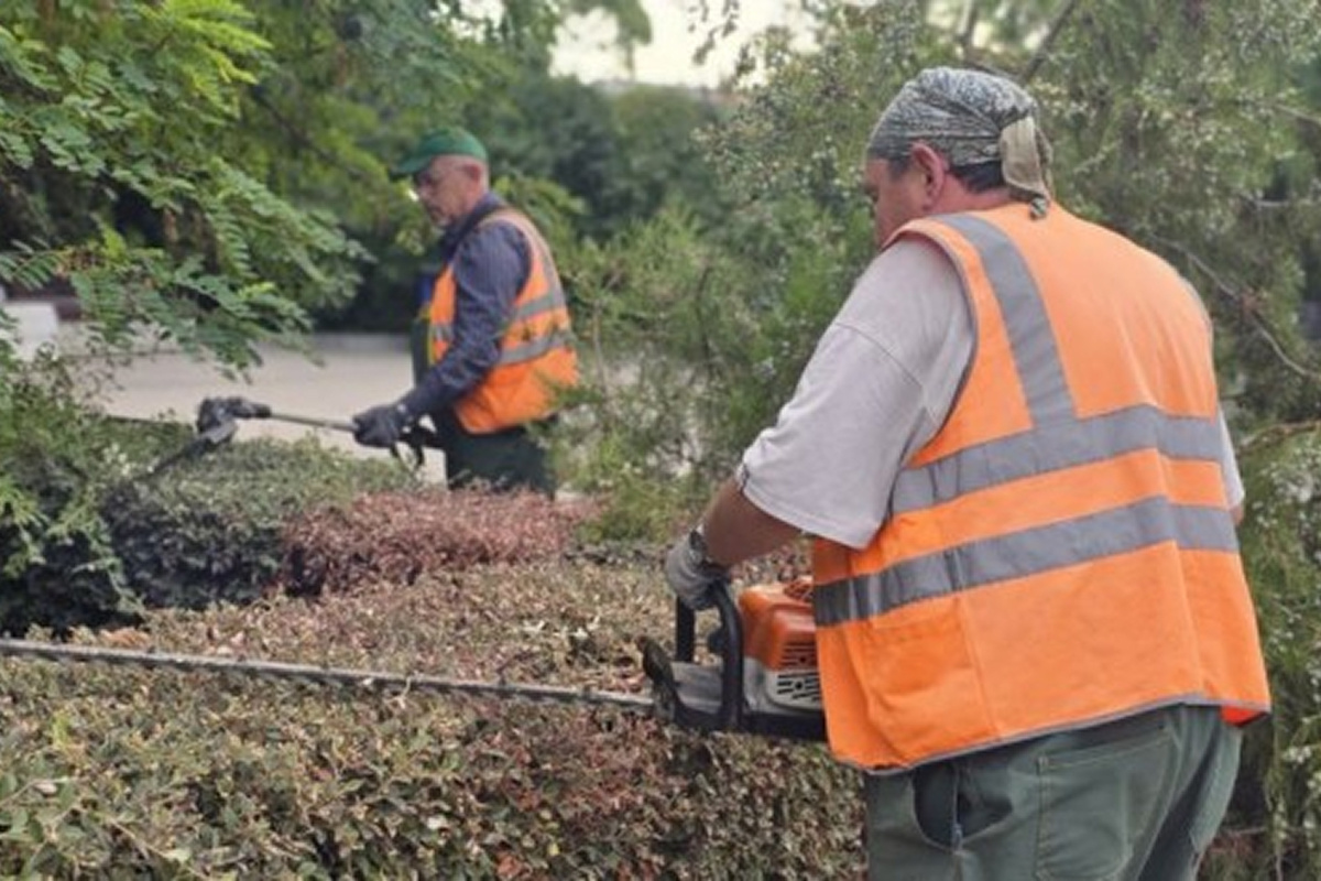    Фото: пресс-служба Правительства Севастополя Источник: sev.gov.ru