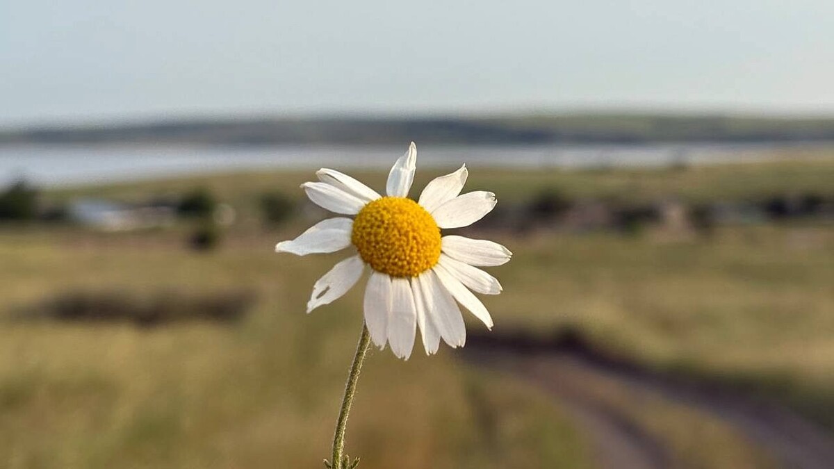    Фото: телеканал «Краснодар»