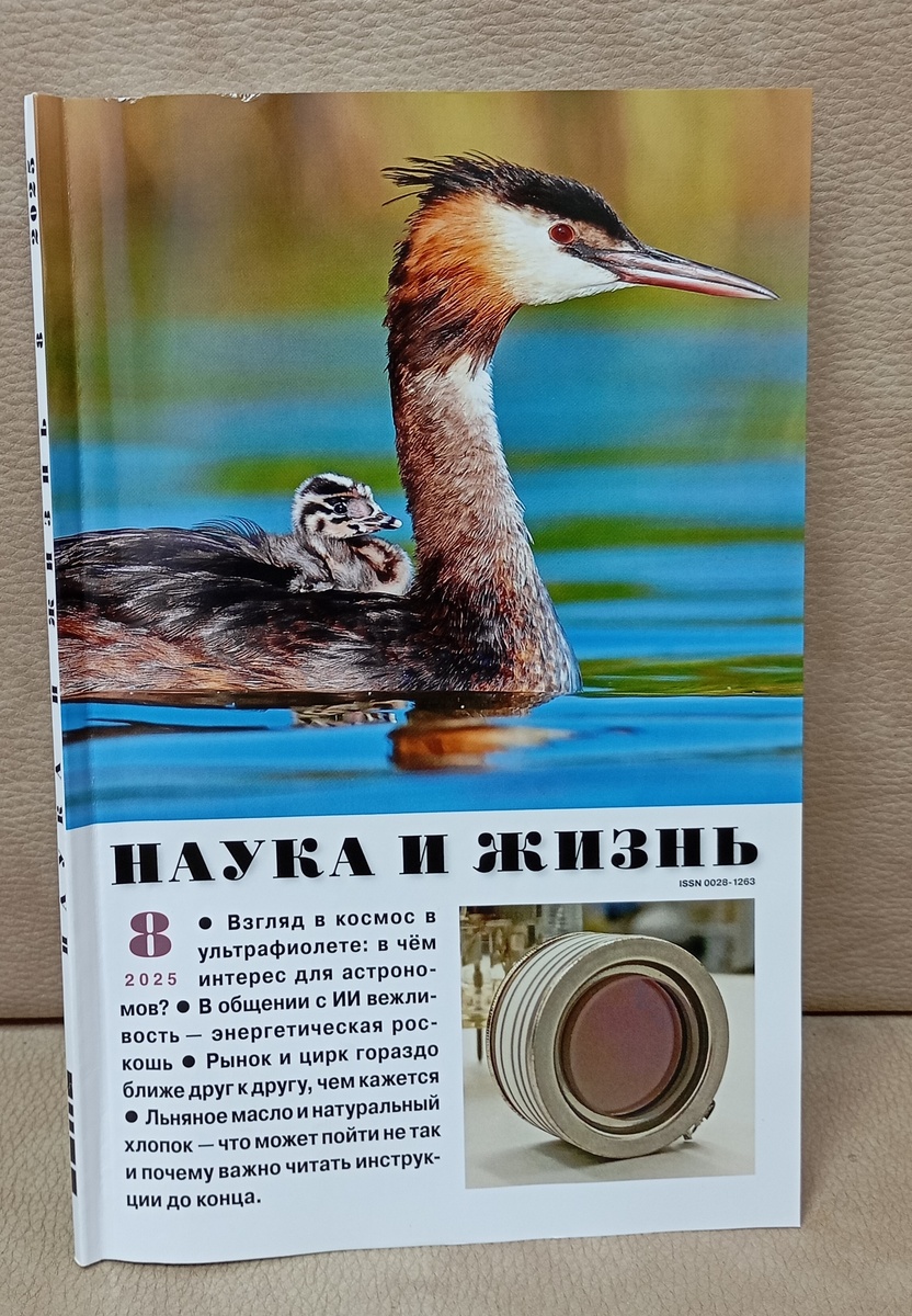 Фотография автора