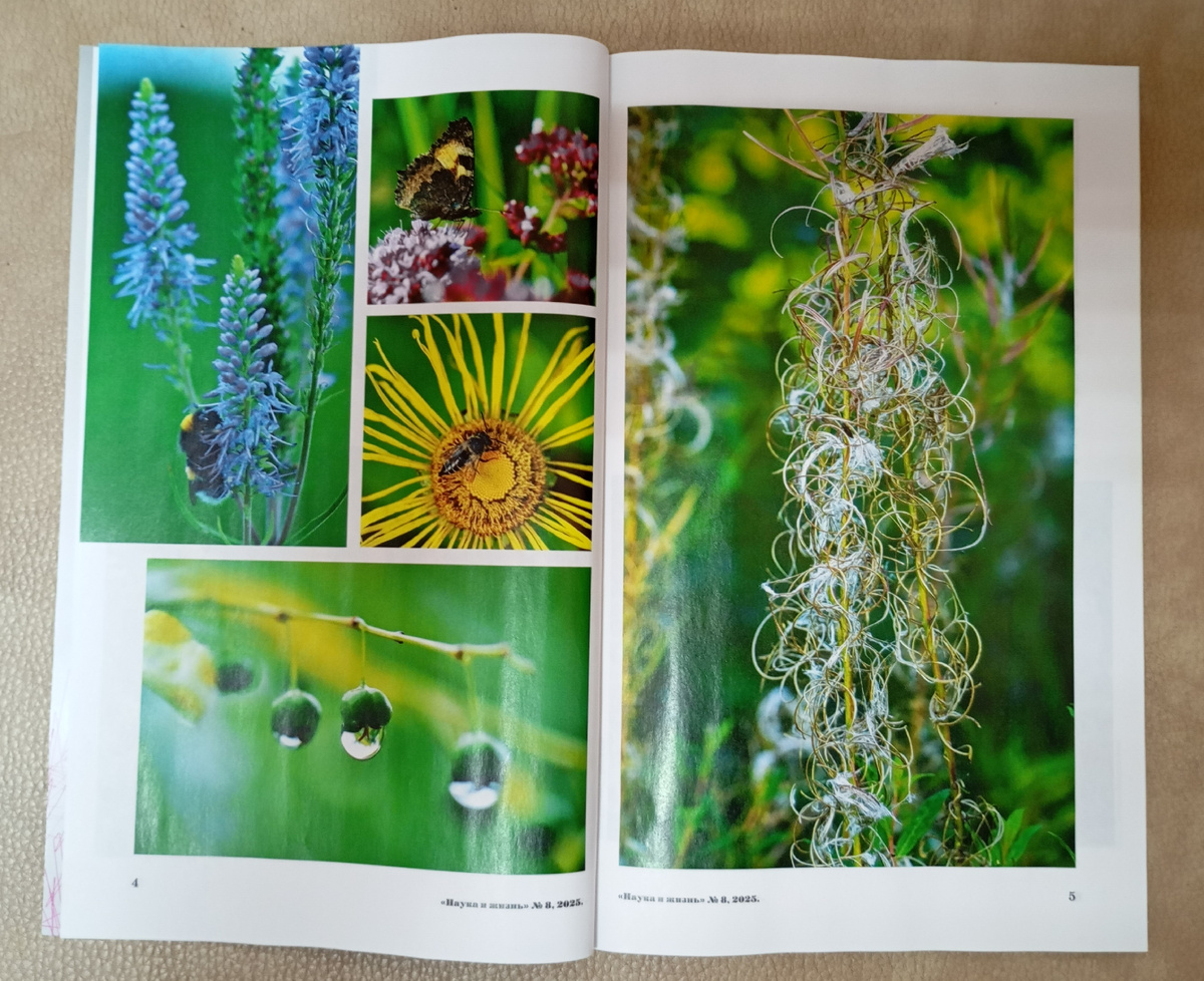 Фотография автора