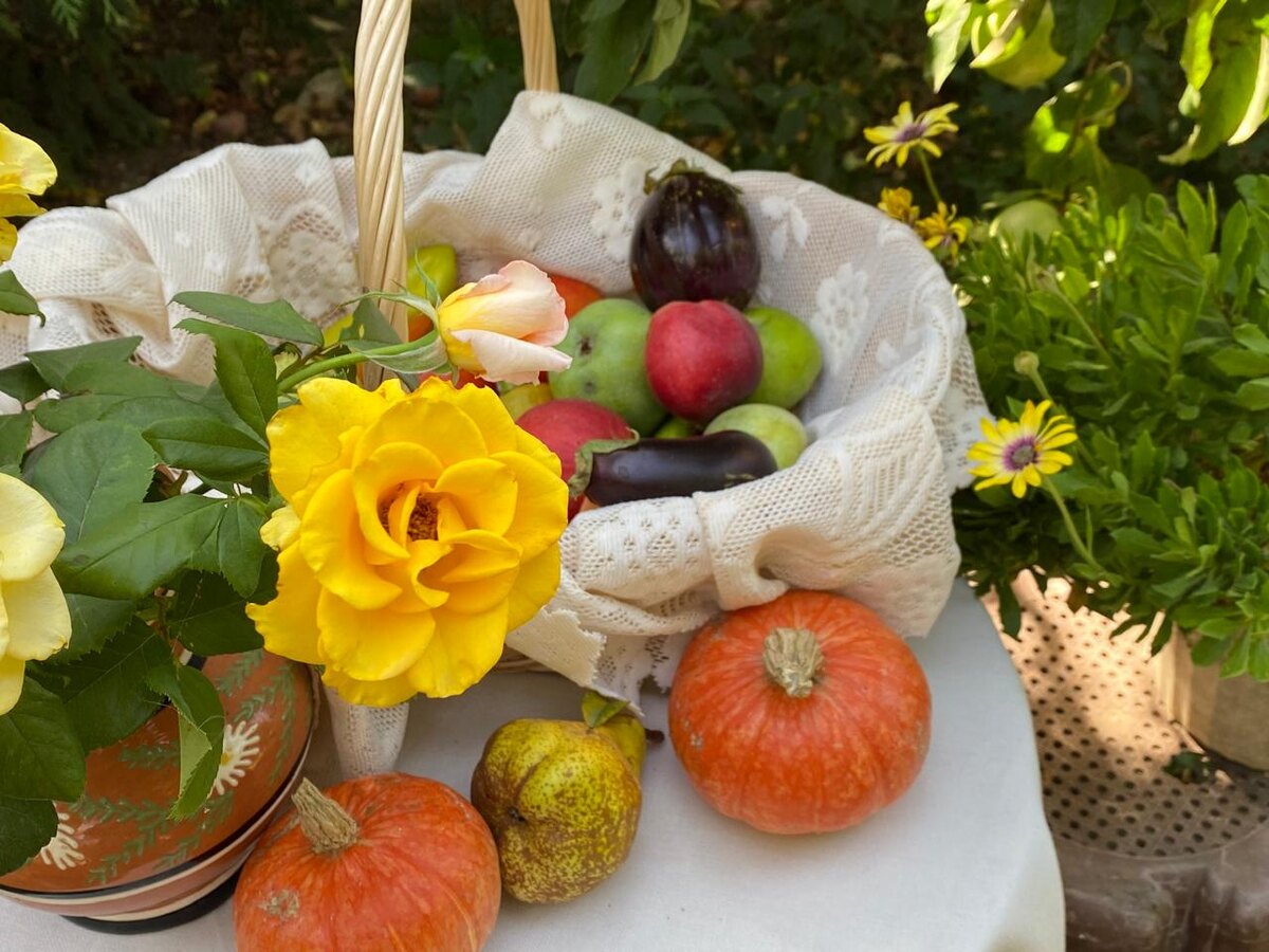 Осенние овощи