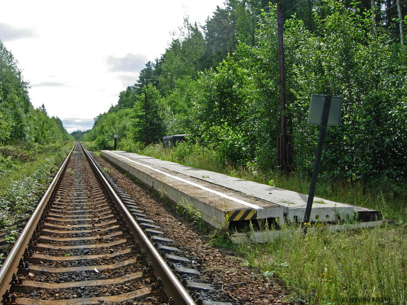 Платформа 70 км. Вид со стороны Местерьярви. Фото Д. Веревкина, 8 августа 2012 г