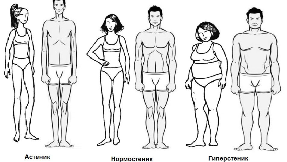 Правильное питание по типам телосложения: как есть, чтобы худеть, не голодая, и быть в форме без диет