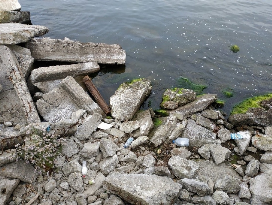 Пластик и микропластик накапливаются в небольших заливах и спокойных бухтах. Источник: Ирина Чубаренко