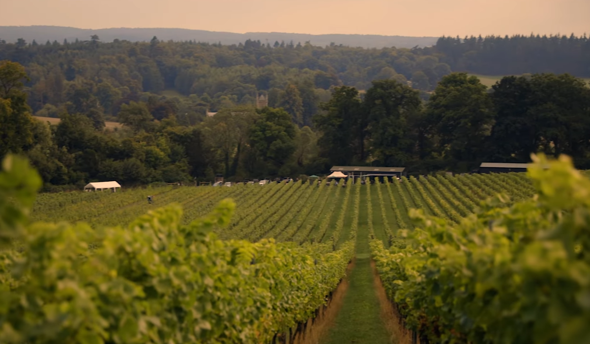     Вино там, где не ждали: Англия, Скандинавия и Сибирь – новые винодельческие зоны XXI века