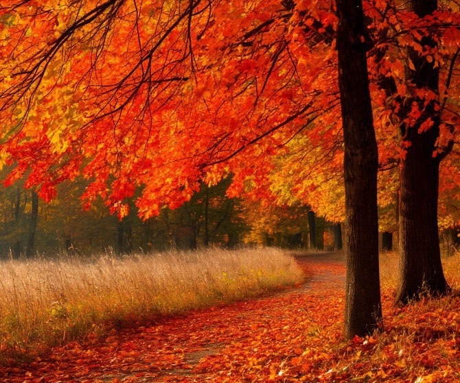    Фото: шедеврум