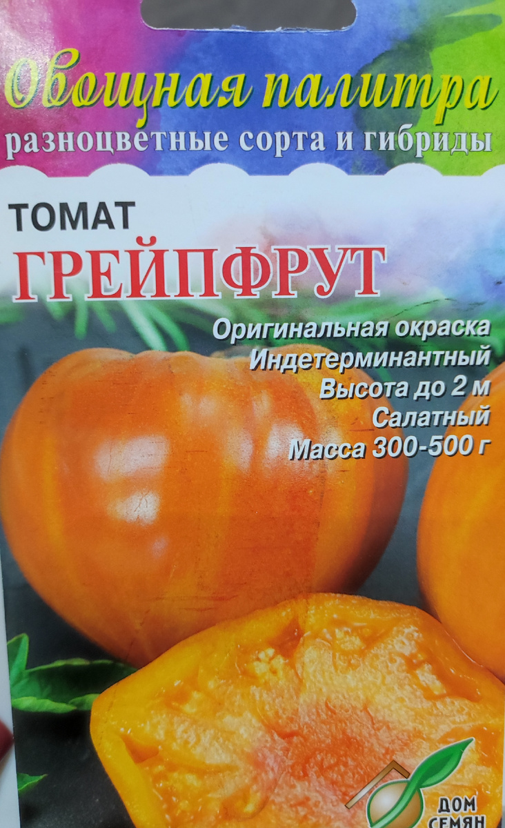 Фото автора, семена томата сорта Грейпфрут, сентябрь 2025 года