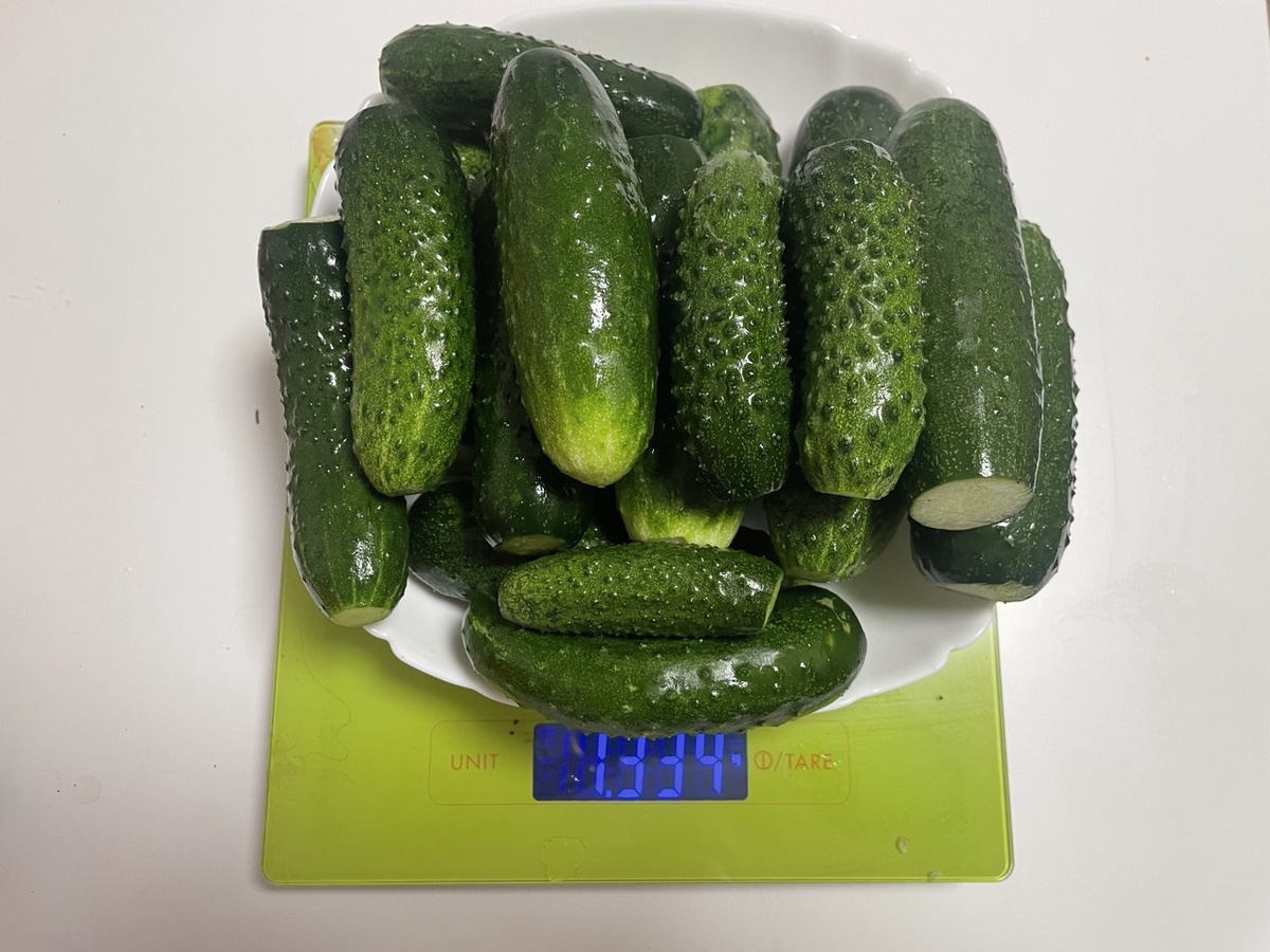 Мои огурцы.