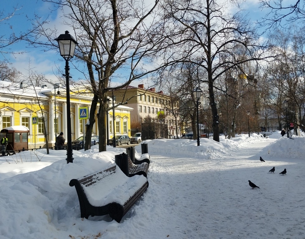 Спасопесковский сквер. Февраль 2024 г. Из личного архива автора.