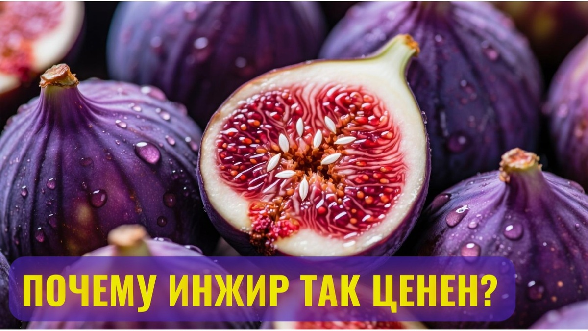 Фрукт инжир.