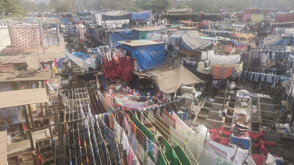    Фото: архив телеканала «Краснодар»