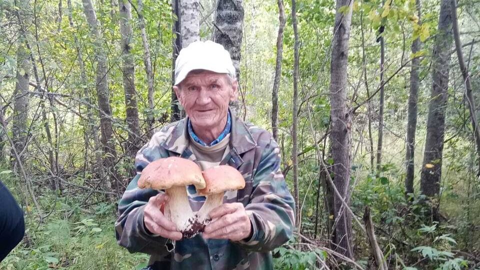 Если вы и ваши старшие собирают грибы…