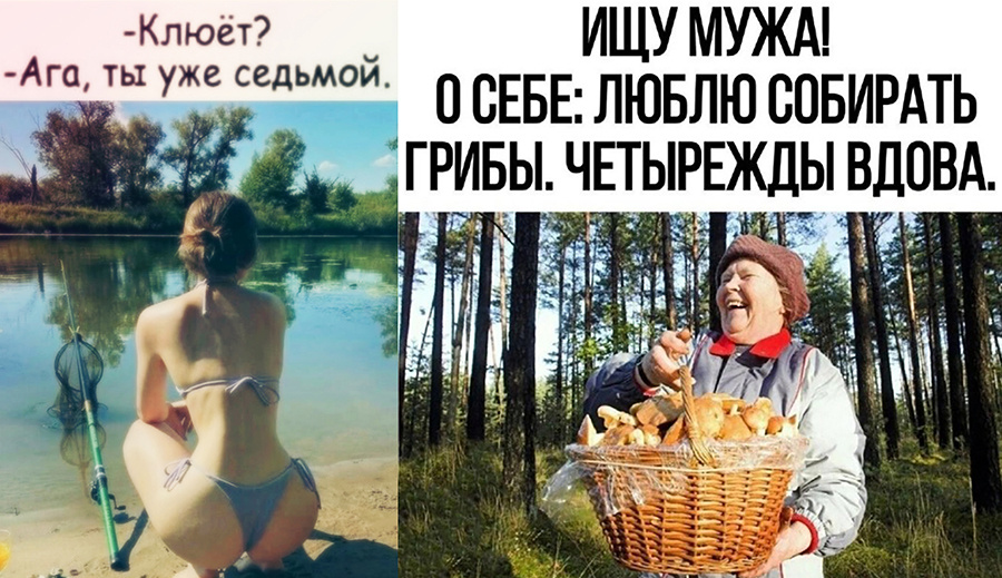 Рыбалка и грибы