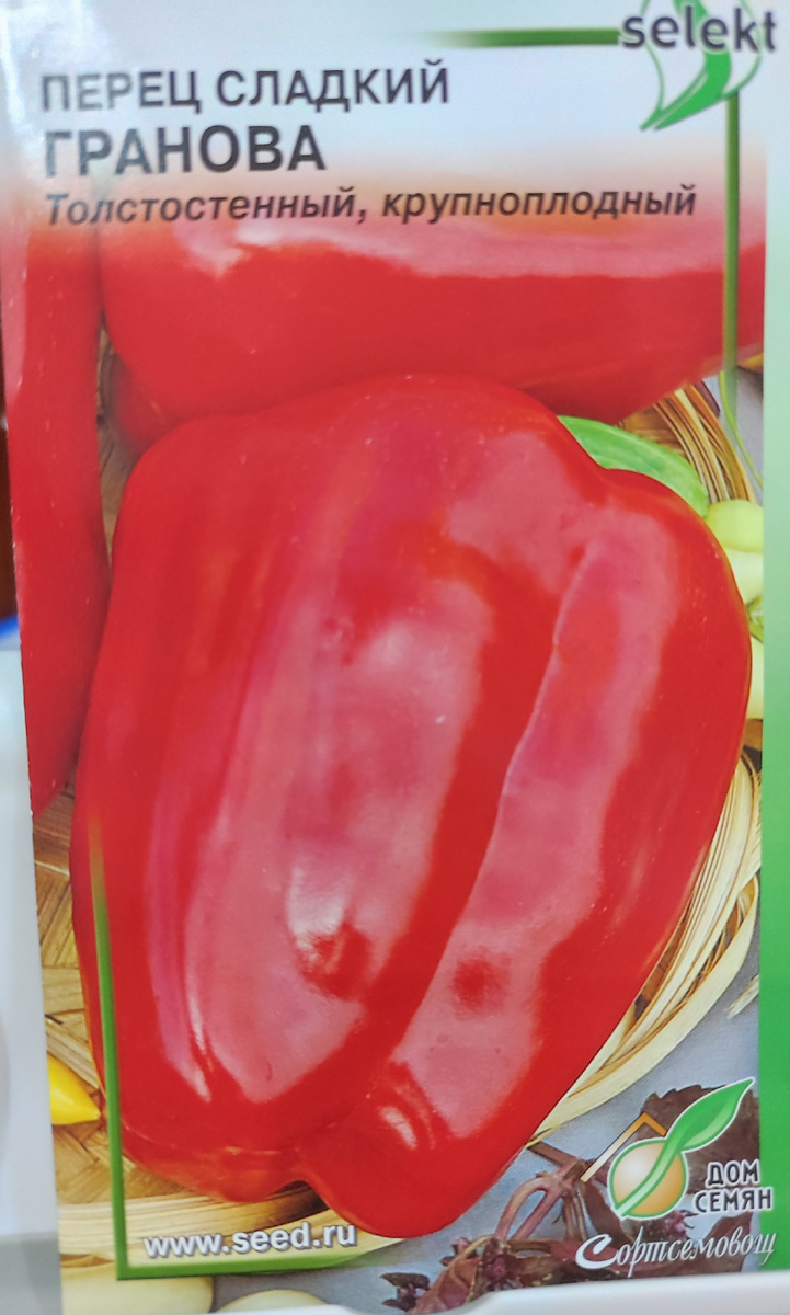 Фото автора, семена сладкого перца сорт Гранова, сентябрь 2025 года