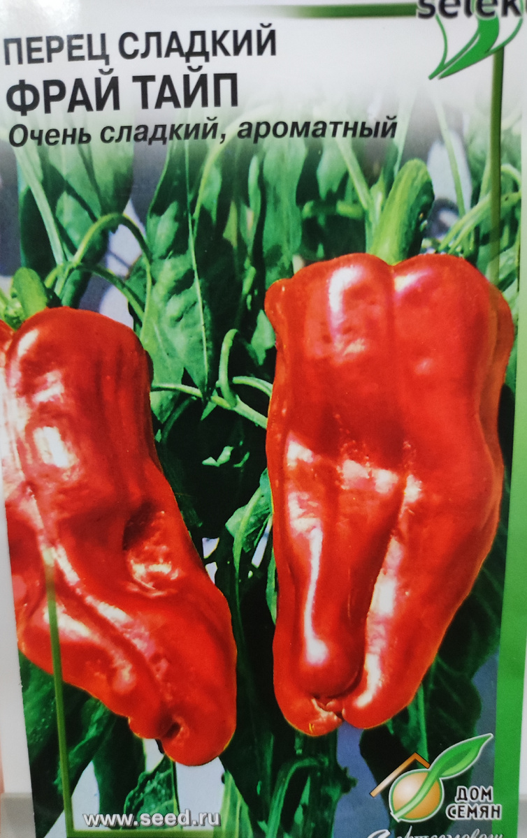 Фото автора, семена сладкого перца сорт Фрай Тайп, сентябрь 2025 года