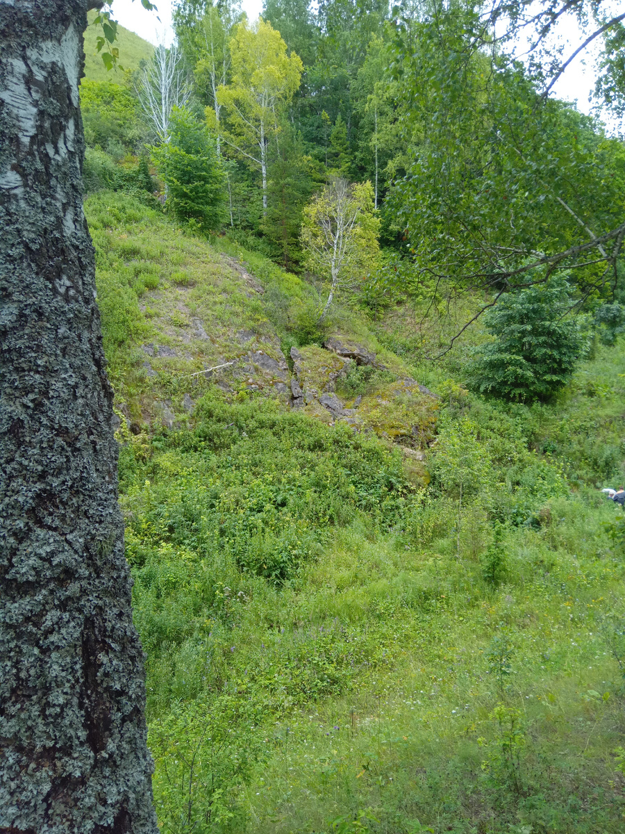 Вот так он выглядит.