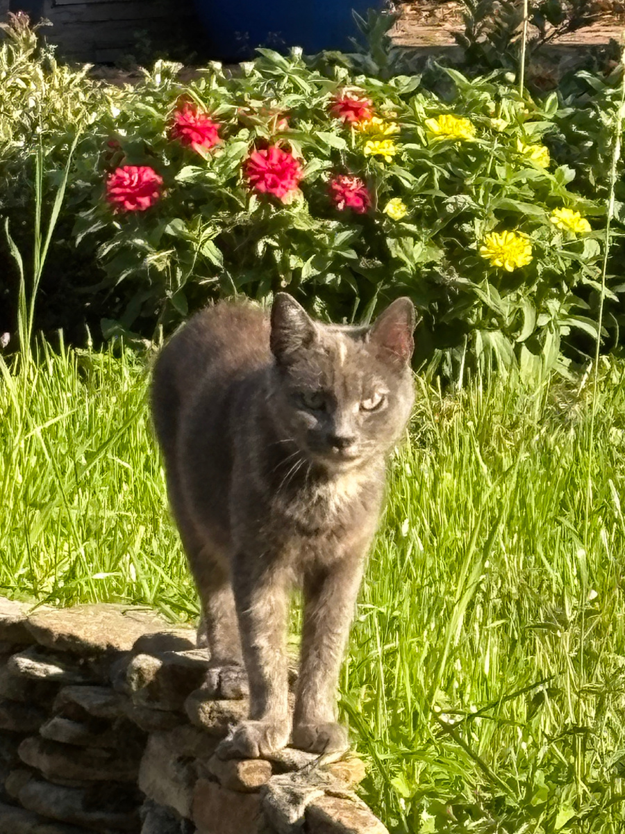А чего это вы тут делаете?