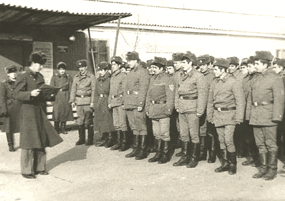 Дедовщина и издевательства.