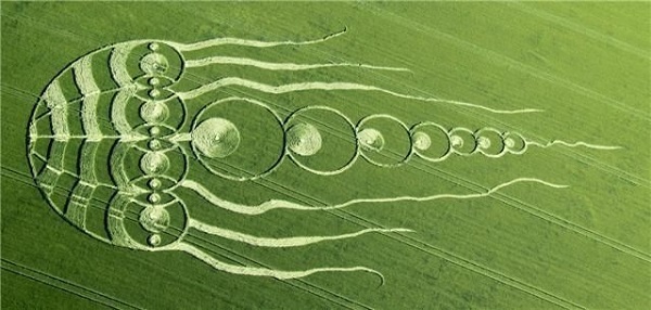 Фото рисунка в поле. Работа художников или реклама? Чего?