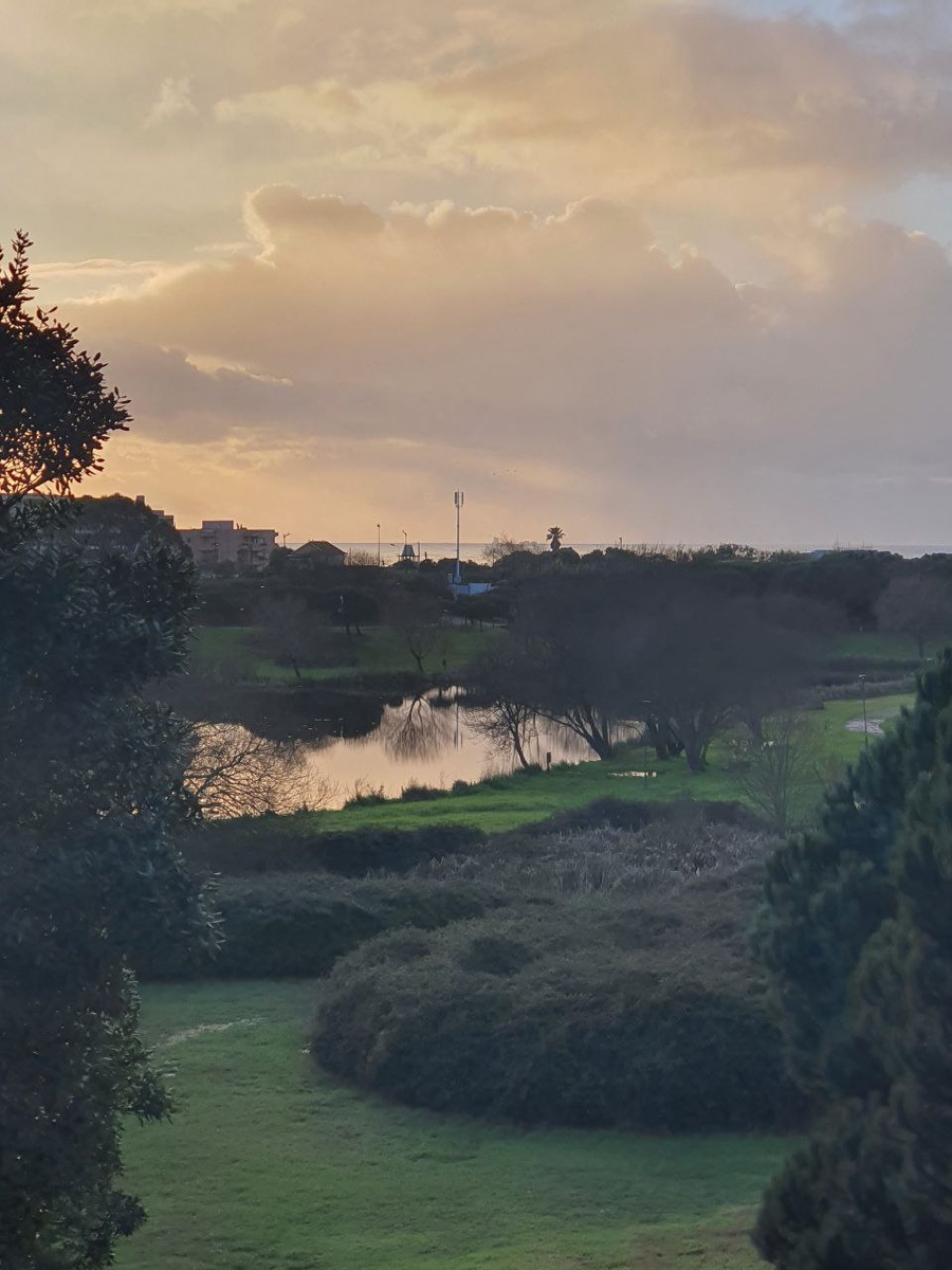 Парк в Порту (фото подруги)