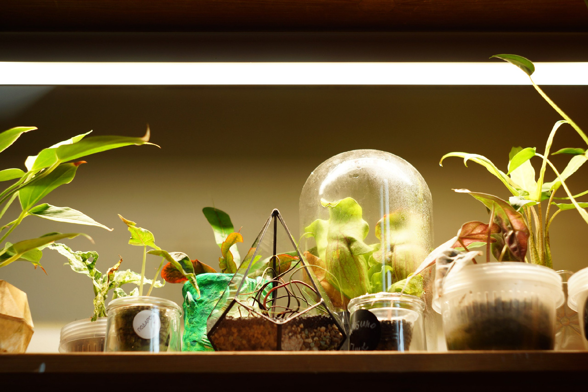 Лампы от Минифермер в нейтральном свете -мой фаворит