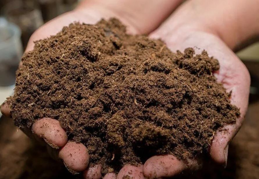 Плодородная почва