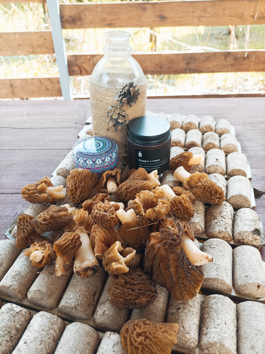 3 мая 2025 года