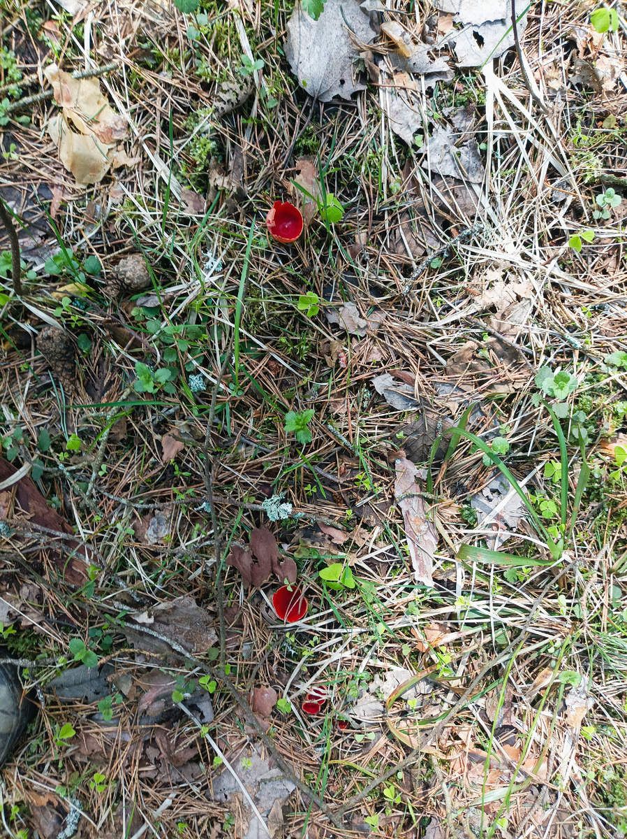 Всё тоже 3 мая 2025 года