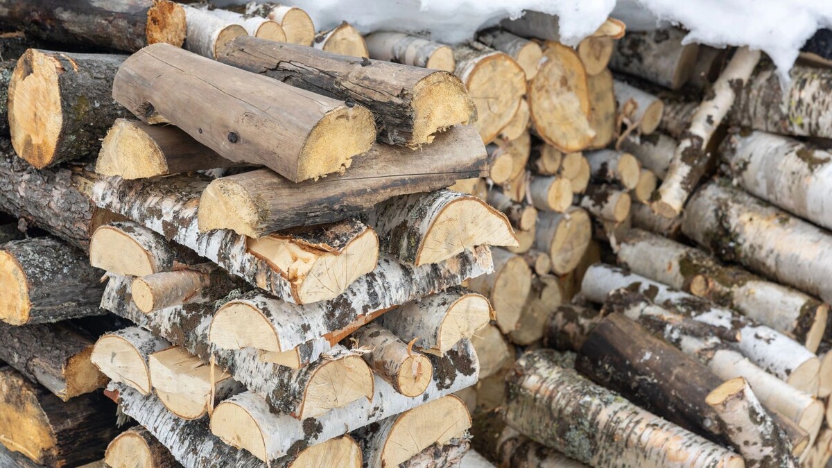    Фото: Александр Чирва / «Ямал-Медиа»