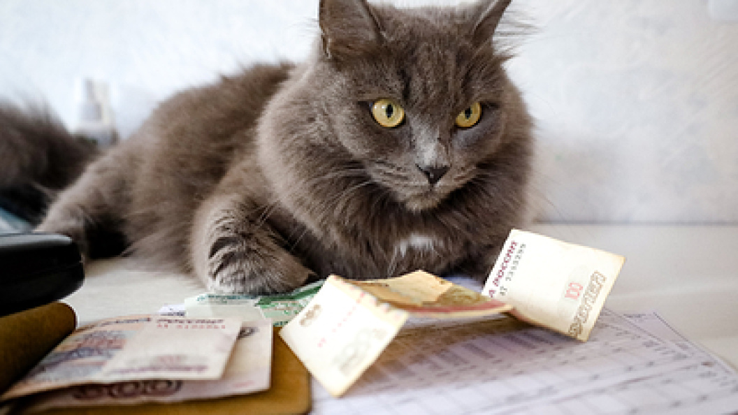    Фото: Elena Mayorova/Globallookpress