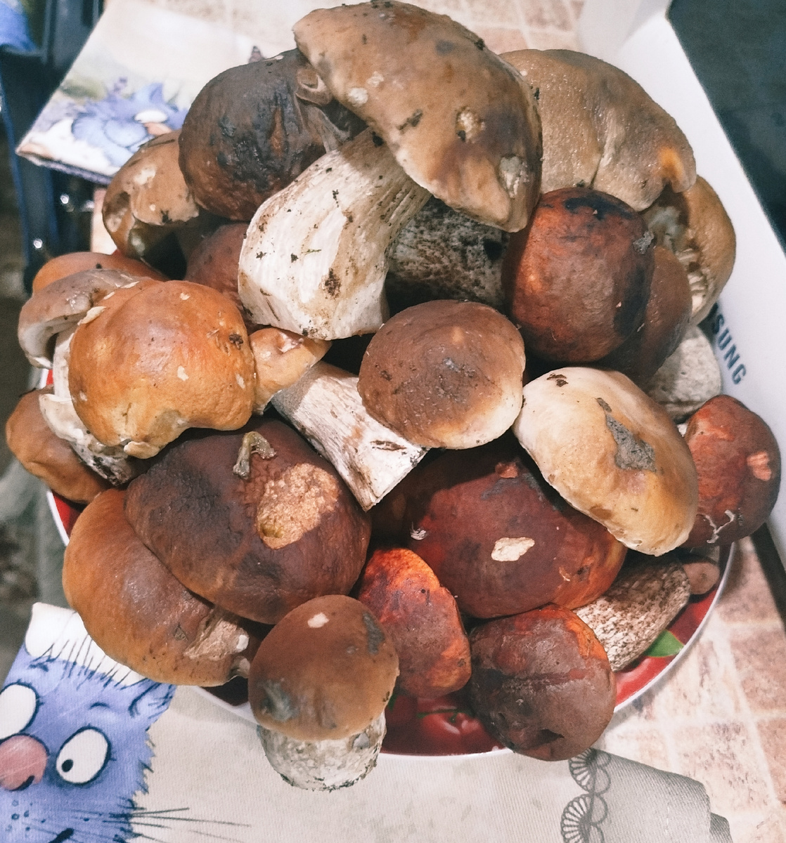 25 августа 2025 года. 